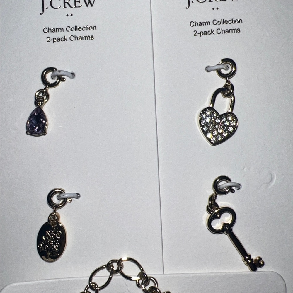 J.Crew oval link charm chain necklace with 4 charms